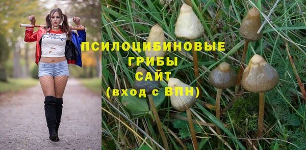 наркотики Алексеевка